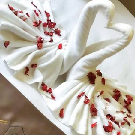 Hotel Berfinn Ortakoey Istambul