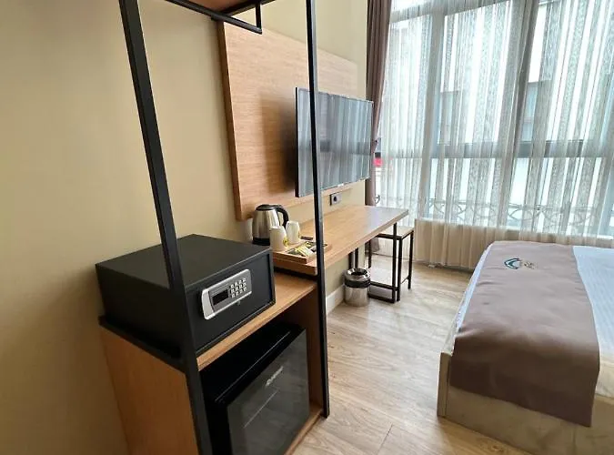 Hotel Berfinn Ortakoey Istambul