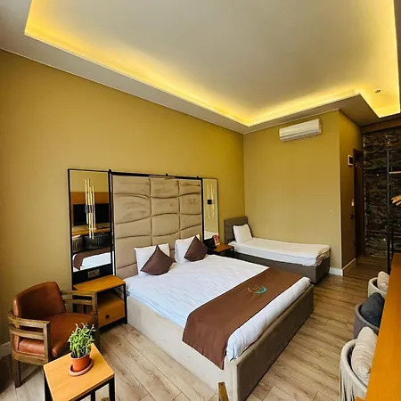 Berfinn Ortakoey Hotel